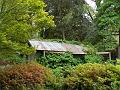 Shed, Tindale Gardens P1040917